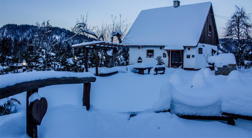 Holiday Home Gorski Lazi Trsce Rum bild